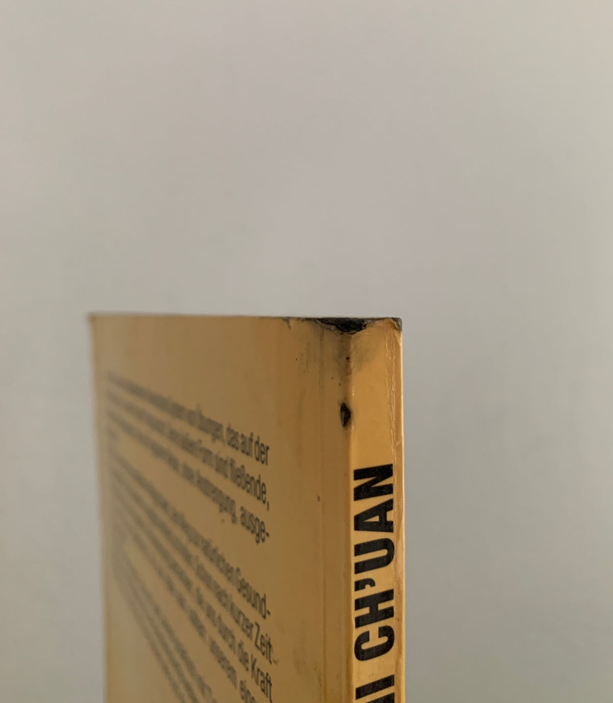T'ai Chi Ch'uan Ein praktisches Handbuch zum Selbststudium von Toyo und Petra Kobayashi