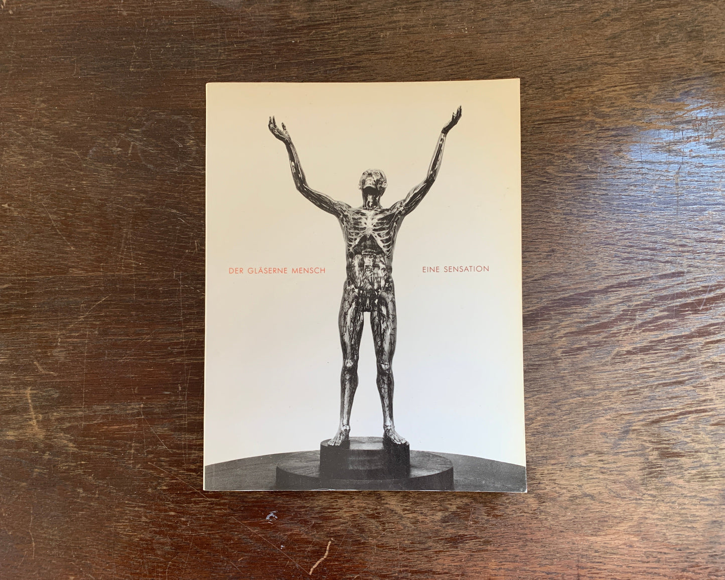 Der Gläserne Mensch Buch von Rosemarie Beier / Martin Roth