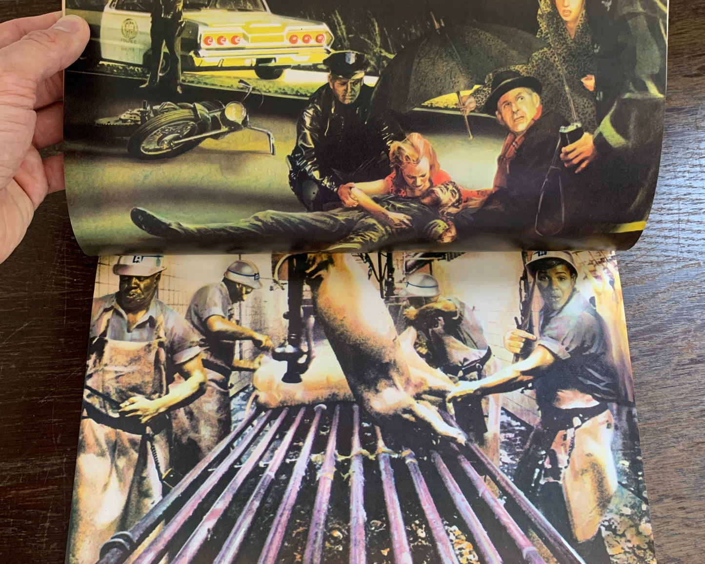 Rock Dreams Buch von Guy Peellaert / Nick Cohn