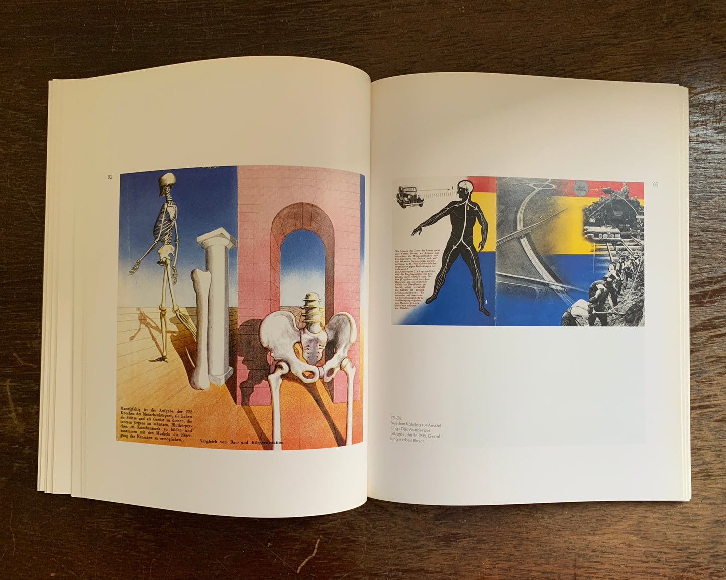 Der Gläserne Mensch Buch von Rosemarie Beier / Martin Roth