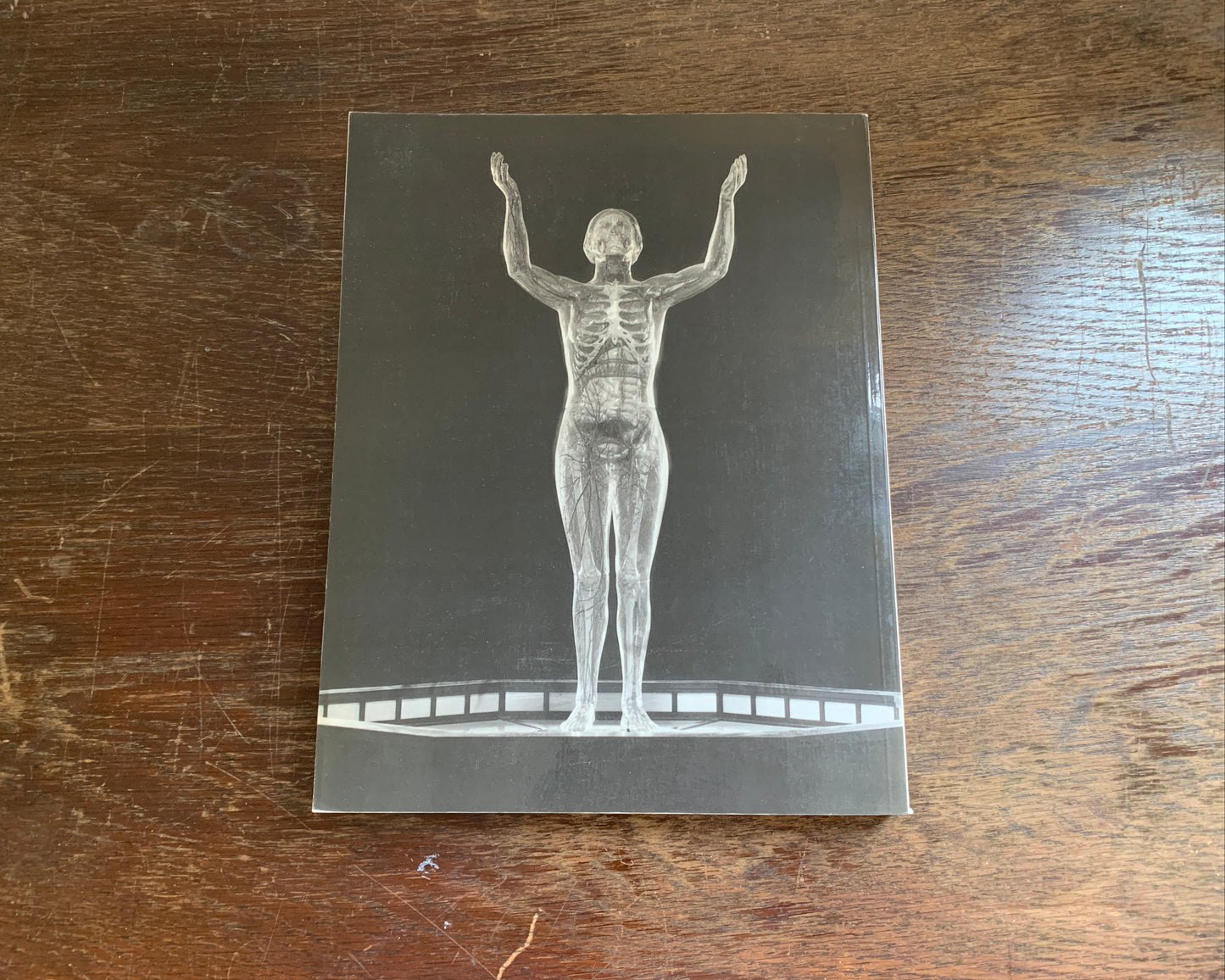 Der Gläserne Mensch Buch von Rosemarie Beier / Martin Roth