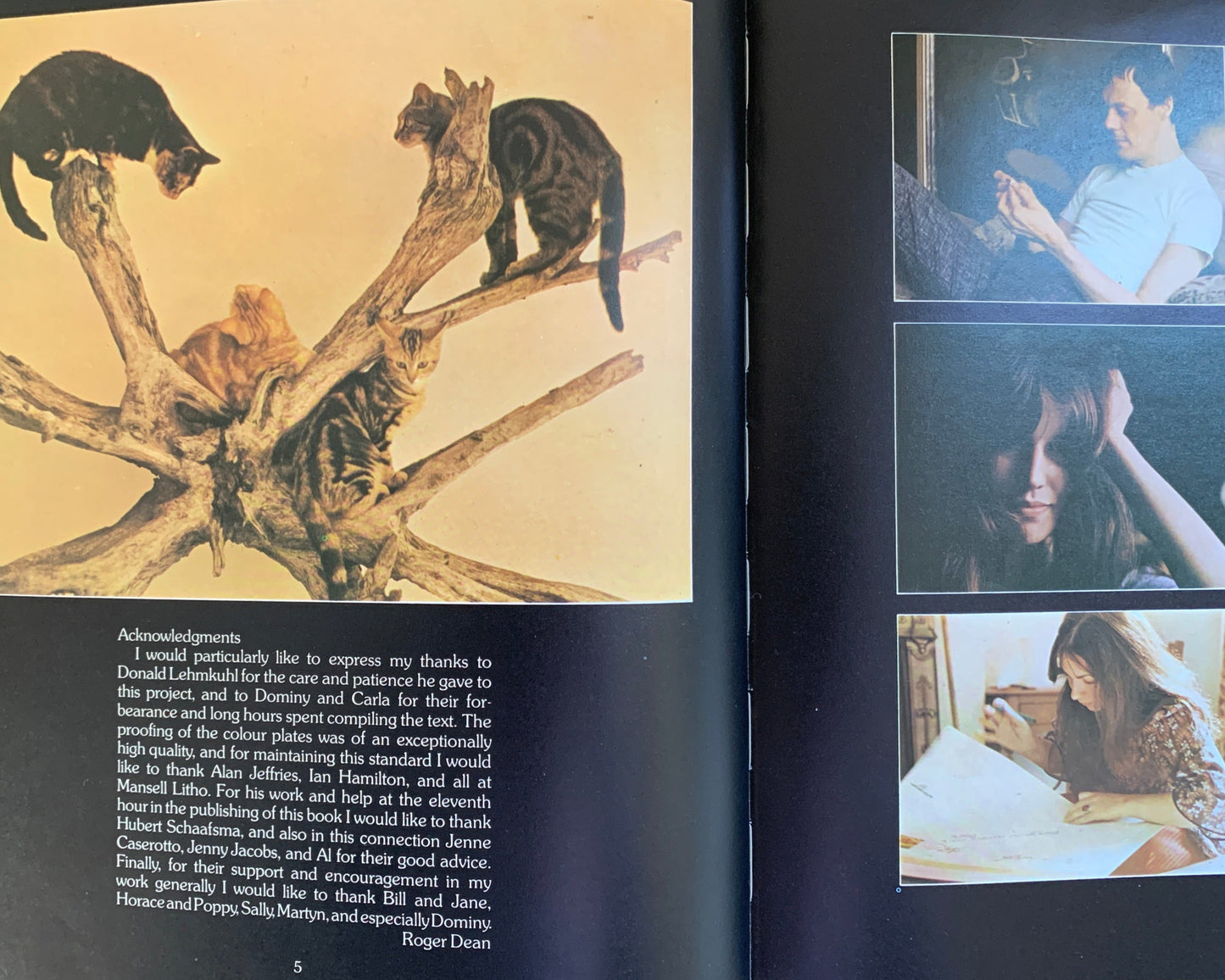 Roger Dean Views Buch von Roger Dean / Dominy Hamilton / Carla Capalbo