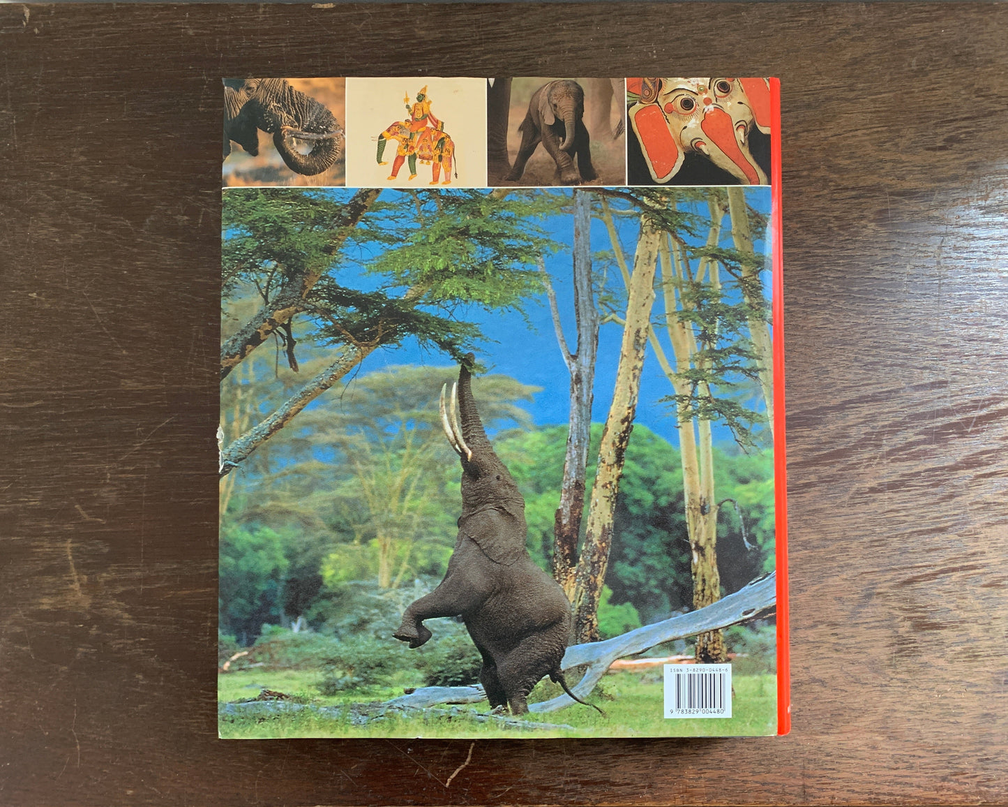 Der Elefant in Natur und Kulturgeschichte von Karl Gröning / Martin Saller