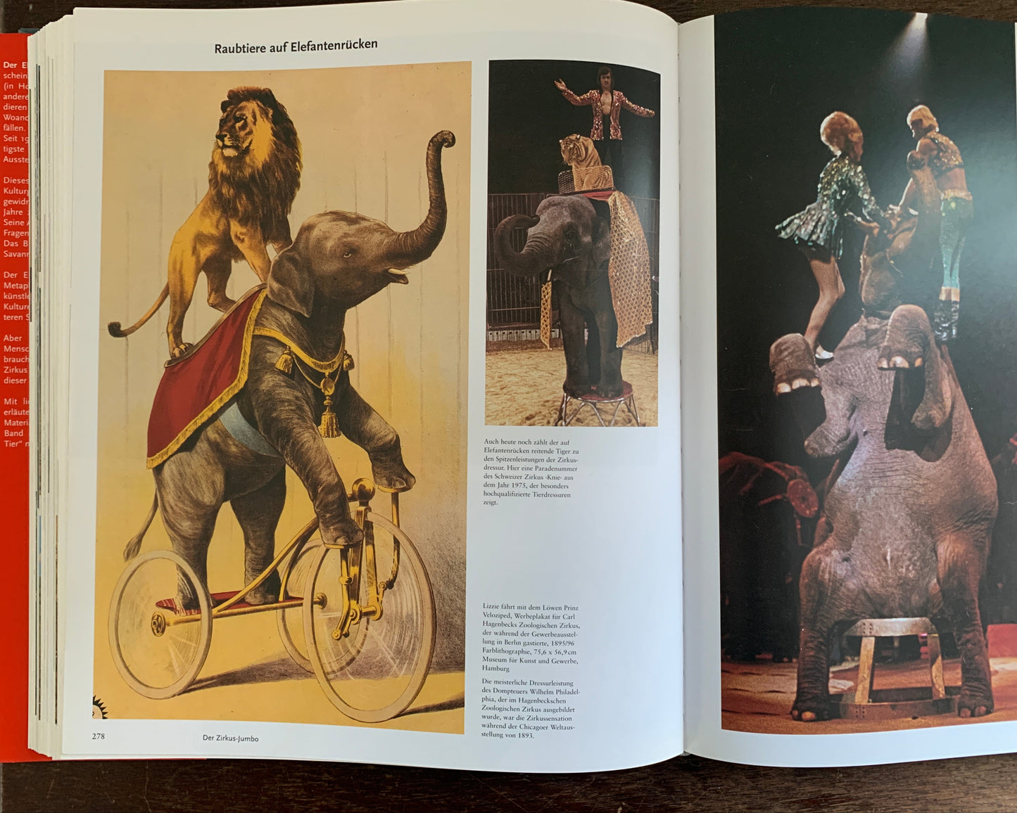 Der Elefant in Natur und Kulturgeschichte von Karl Gröning / Martin Saller