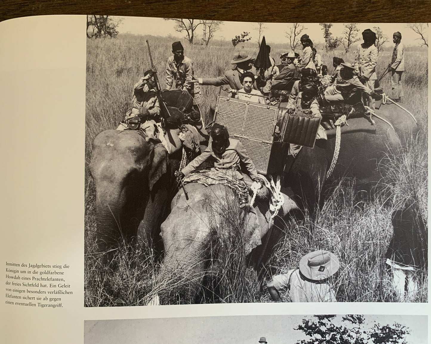 Der Elefant in Natur und Kulturgeschichte von Karl Gröning / Martin Saller