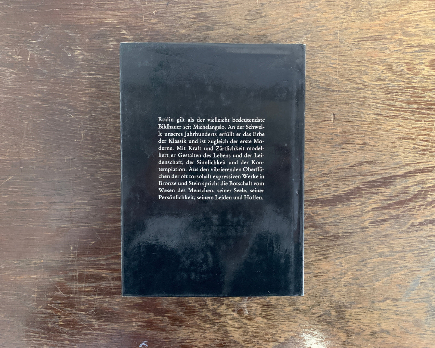 Rodin Buch von Bernard Champigneulle