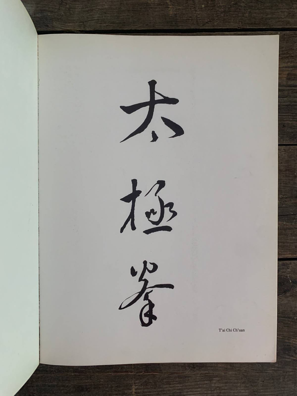 T'ai Chi Ch'uan Ein praktisches Handbuch zum Selbststudium von Toyo und Petra Kobayashi