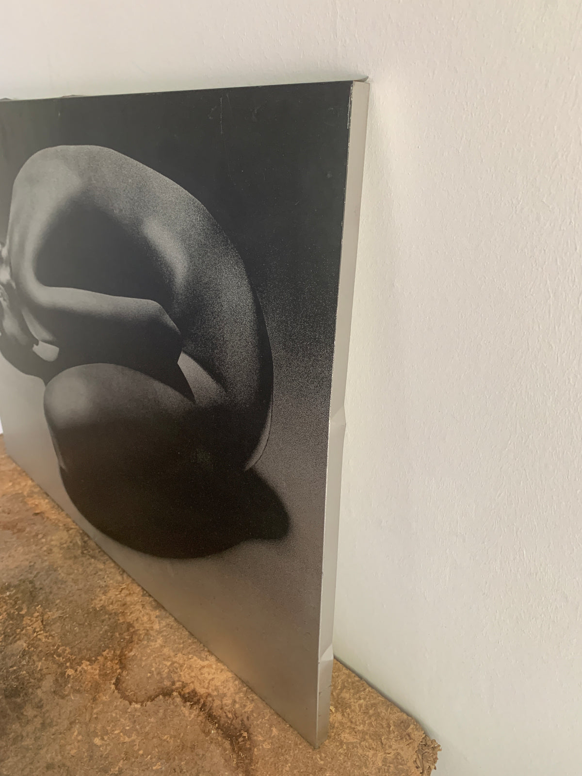 Schwarzweiß-Akt-Fotografie auf Aluminium